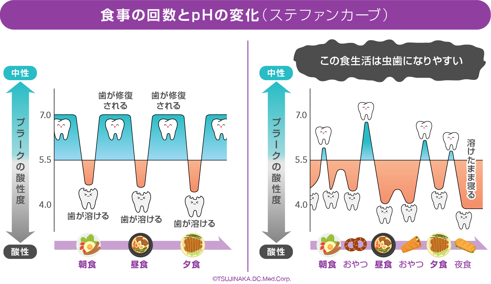 食事の回数とpHの変化（ステファンカーブ）