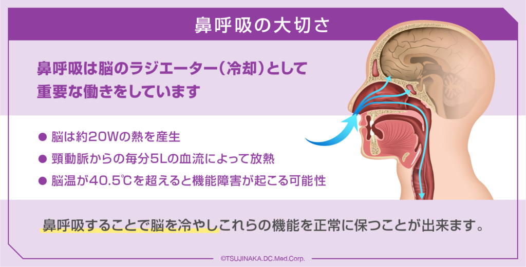 鼻呼吸の大切さ