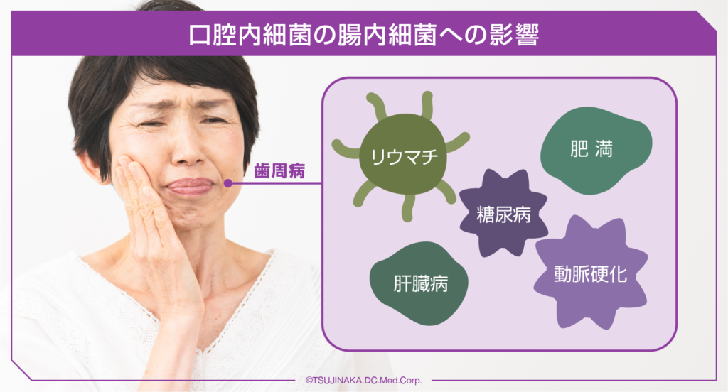 口腔内細菌の腸内細菌への影響