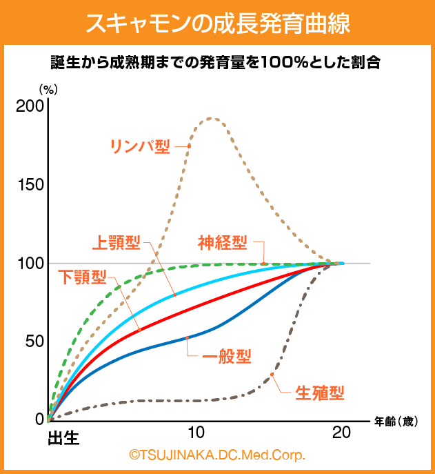 スキャモンの成長発育曲線