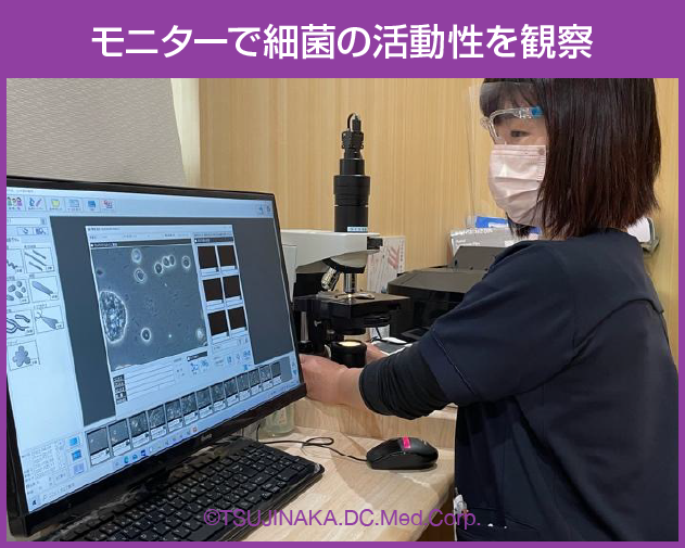 モニターで細菌の活動性を観察