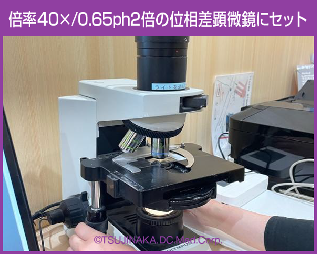 位相差顕微鏡にセット