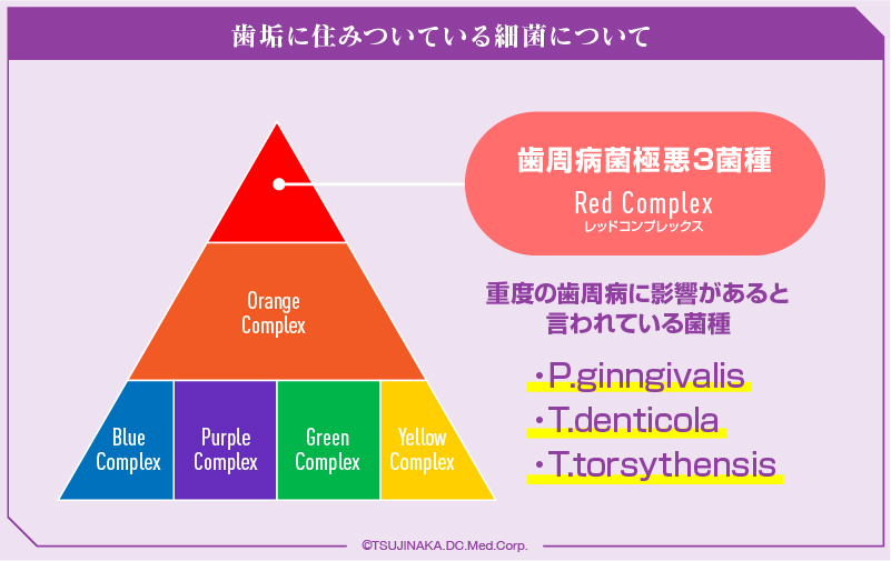 歯垢に住みついている細菌について