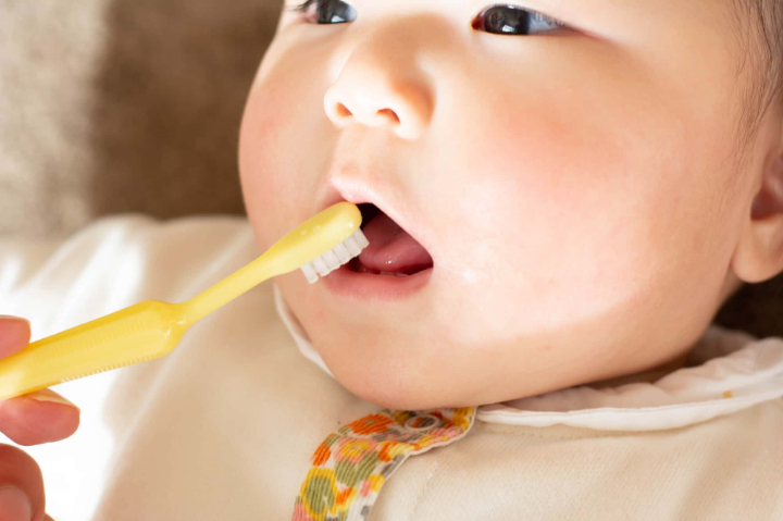 歯みがきを始めた子供