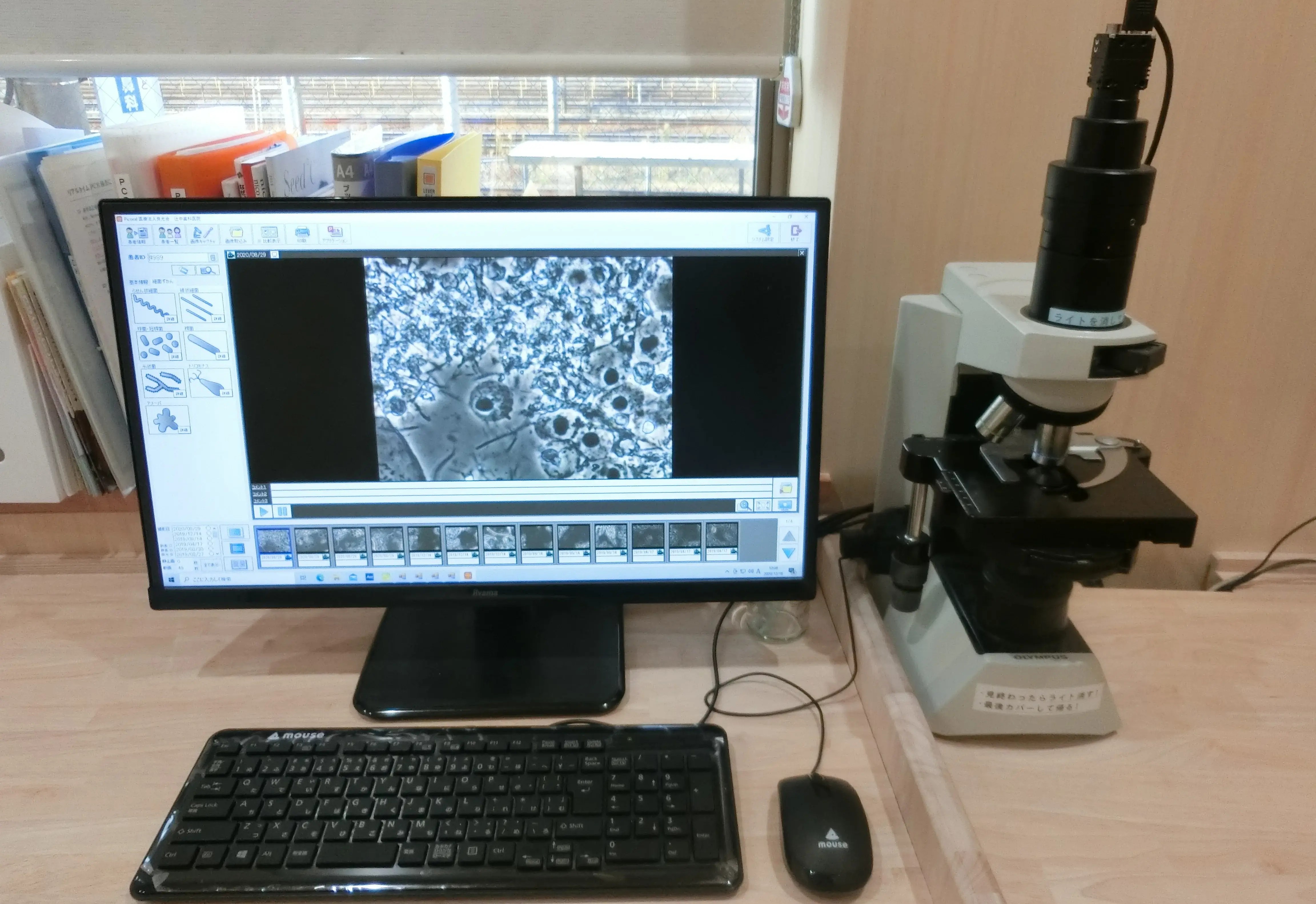 サムプルダミー