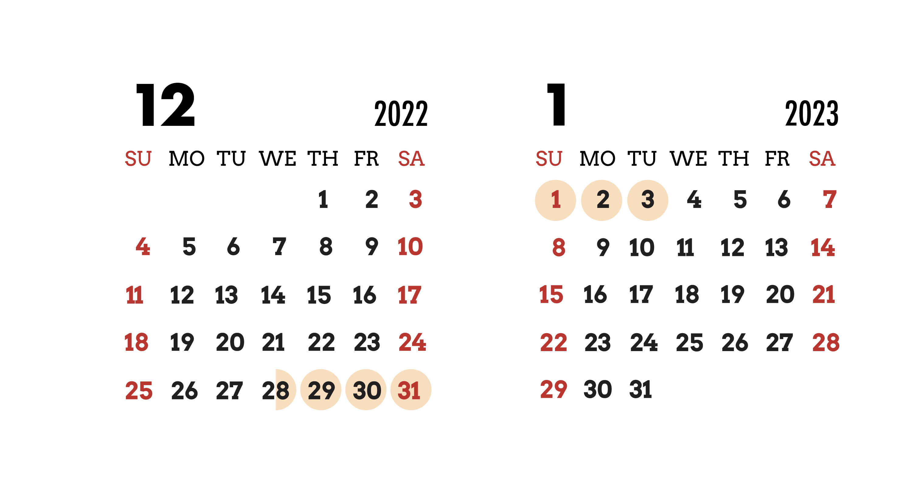 年末年始の休診日