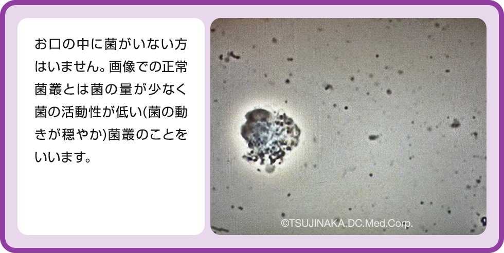 位相差顕微鏡の画像1