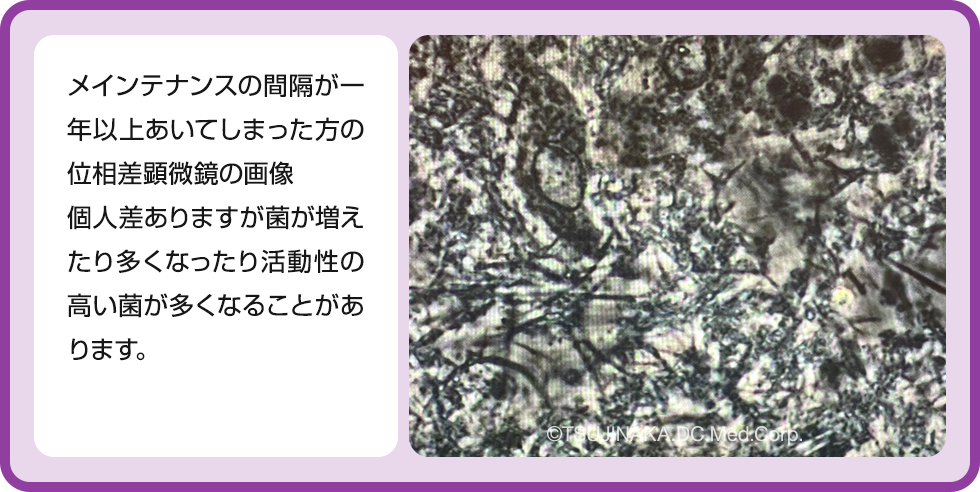 位相差顕微鏡の画像3