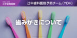 歯みがきについて