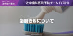 歯磨き粉について