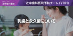 乳歯と永久歯について